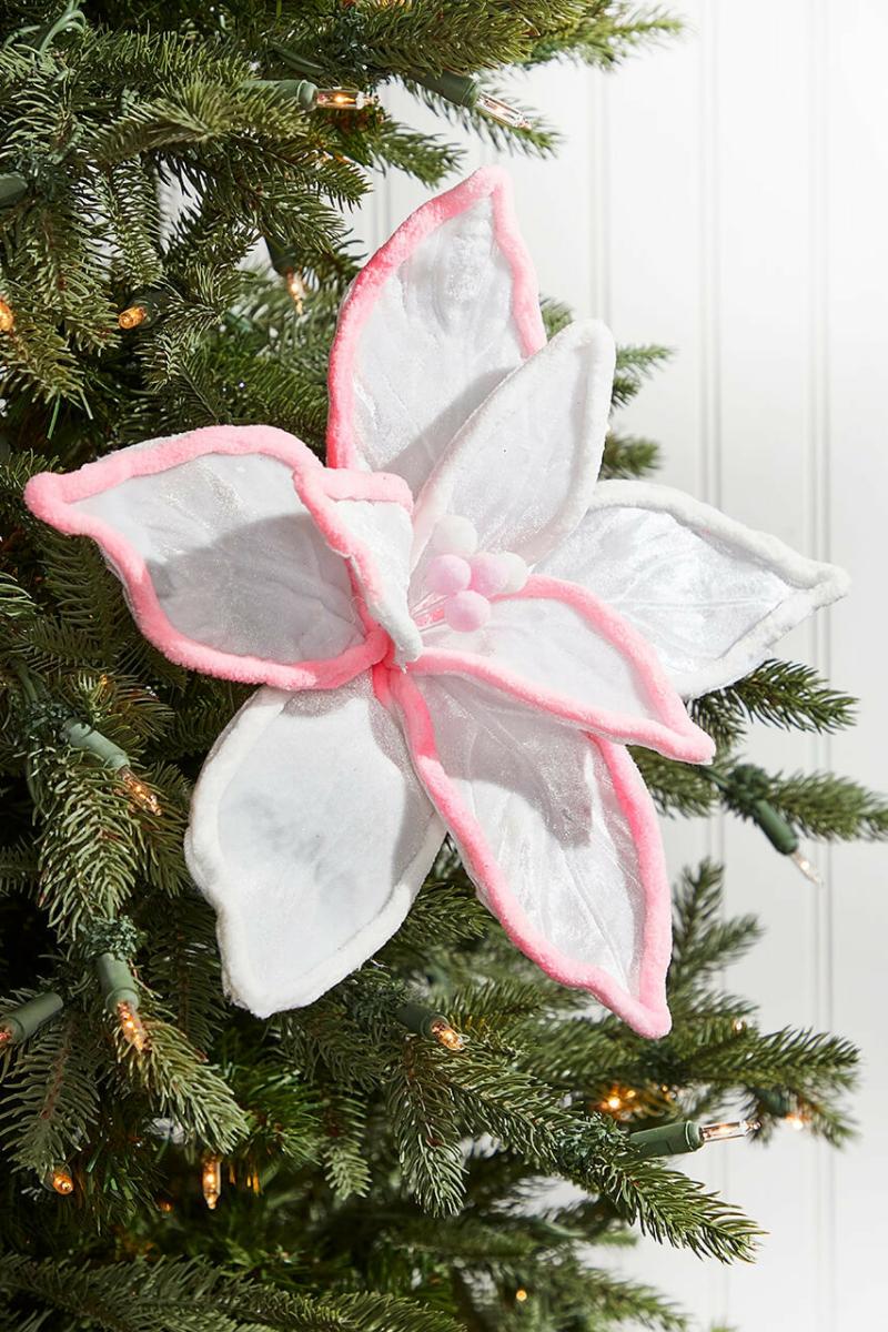 Flowers | 19" X 12" White And Pink Poinsettia Stem Flowers Flowers