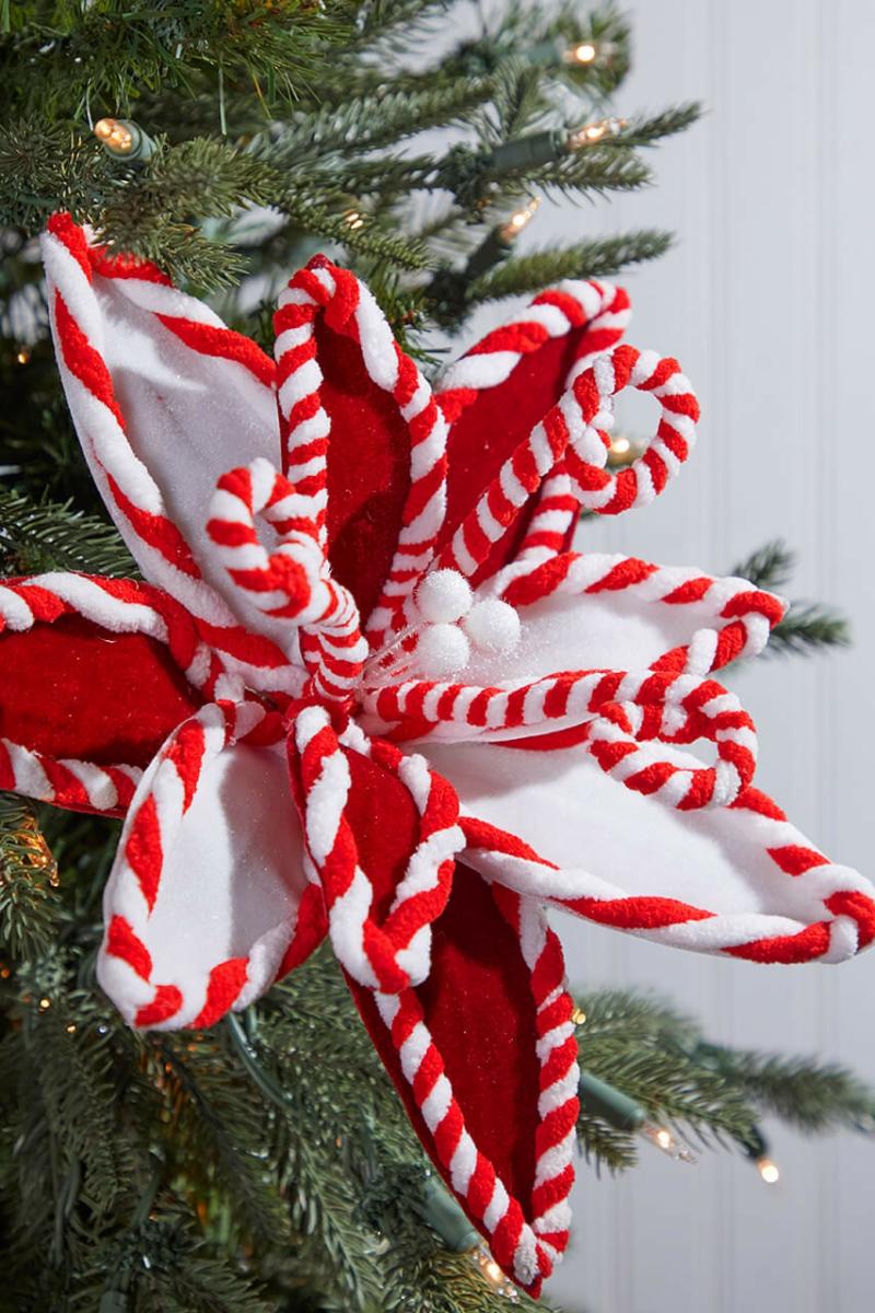 Flowers | 22" X 12.5" Red & White Peppermint Poinsettia Stem Flowers Flowers