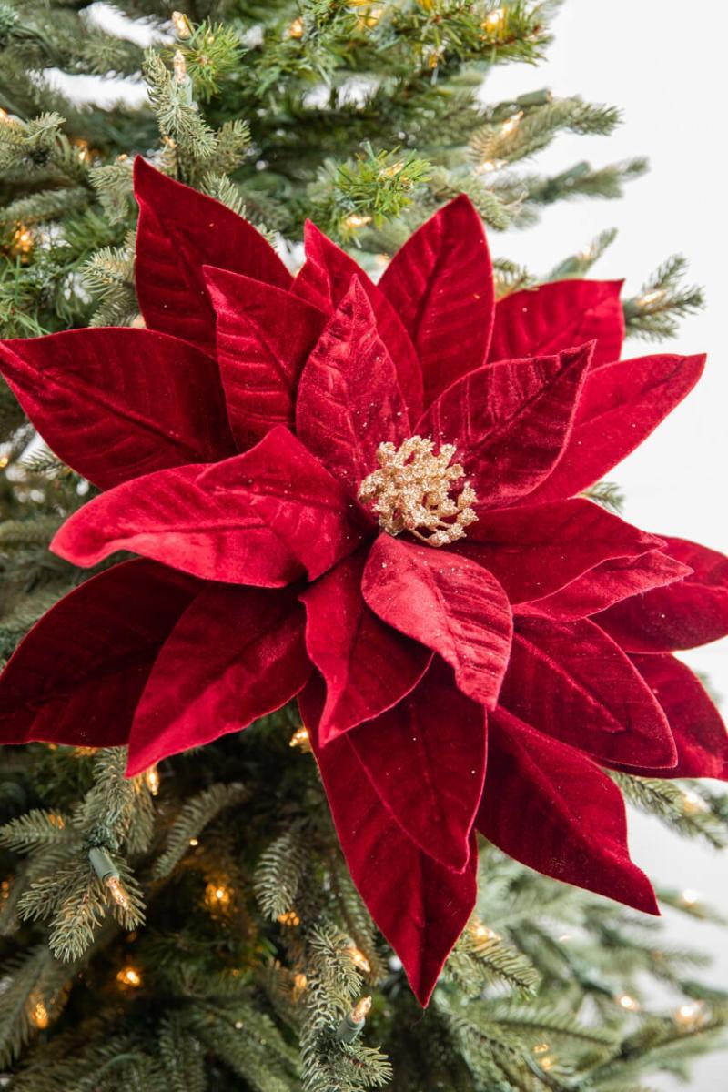 Flowers | 22" X 17" Giant Velvet Poinsettia Stem – Burgundy Flowers Flowers