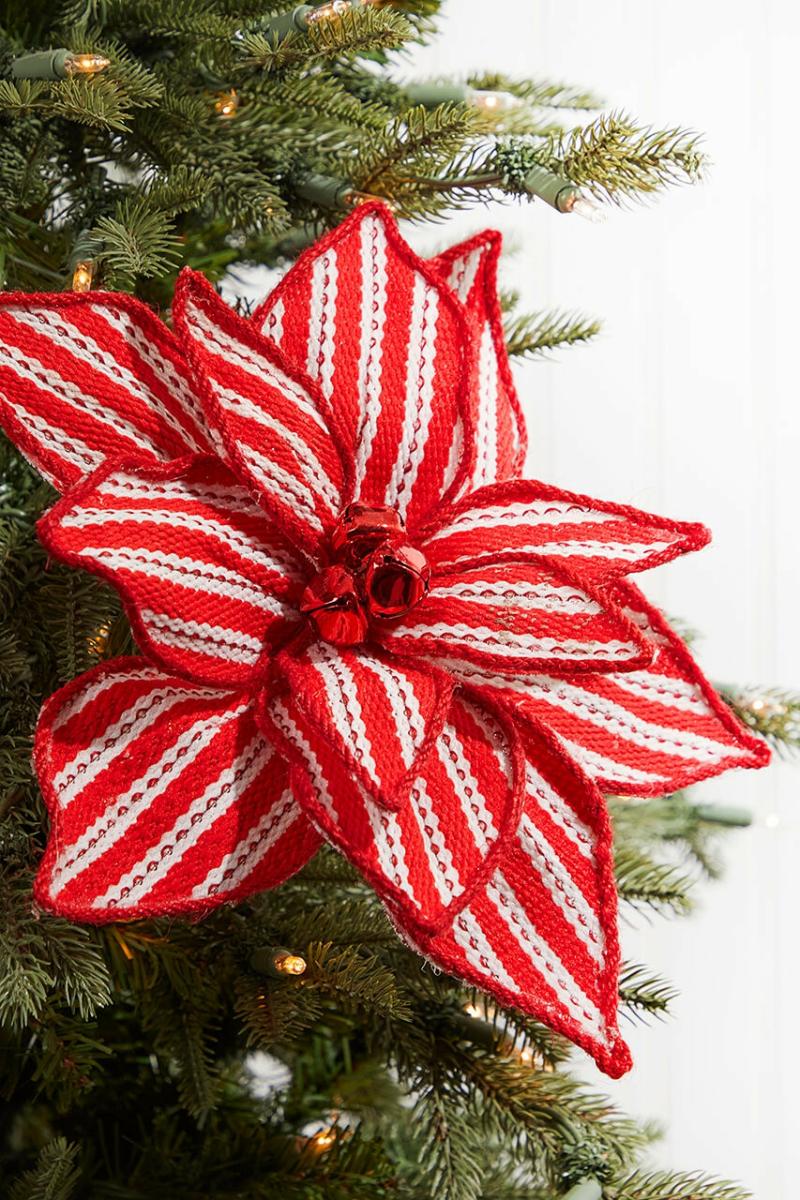 Flowers | 24" Red And White Peppermint Poinsettia With Bell Flowers Flowers