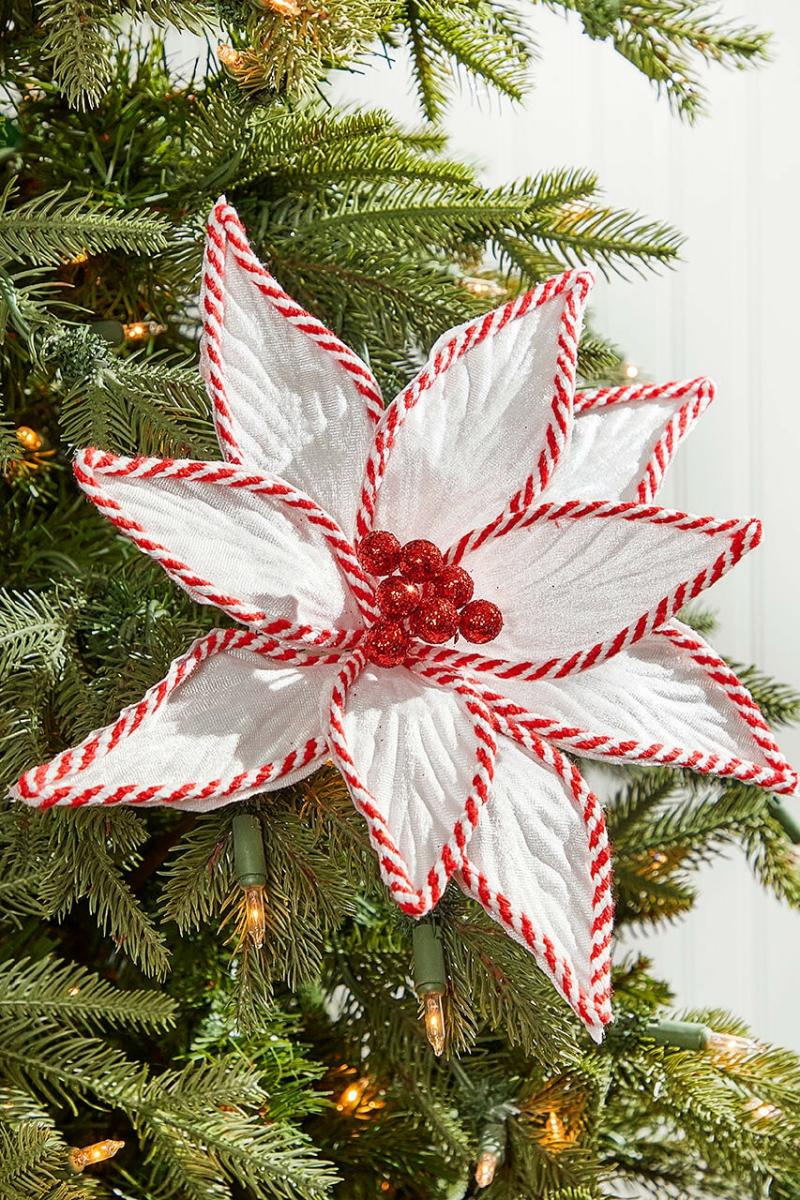 Flowers | 24" X 12" White With Peppermint Stripes Poinsettia Flowers Flowers