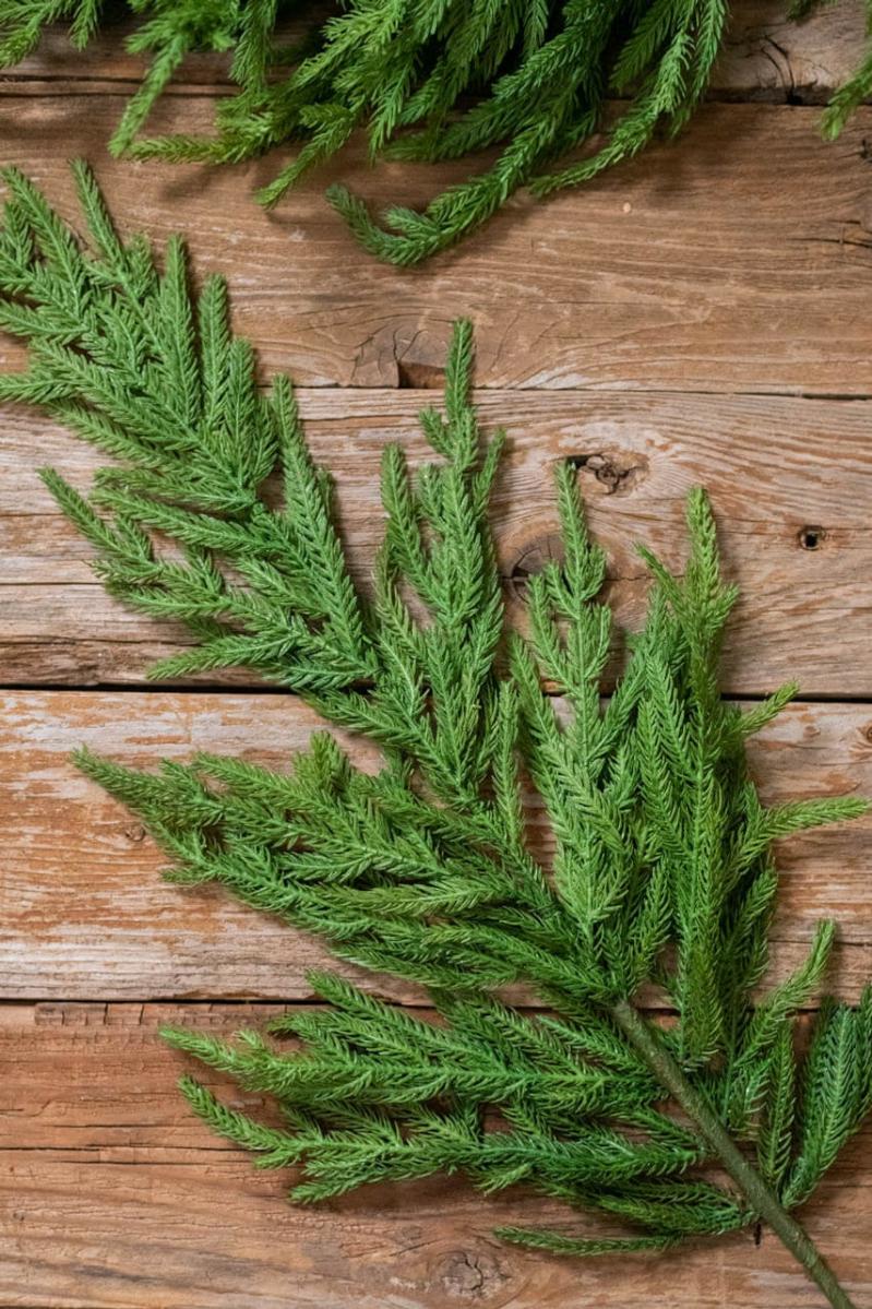 Picks & Sprays | 38" Natural Touch Norfolk Pine Christmas Spray Picks & Sprays Picks & Sprays